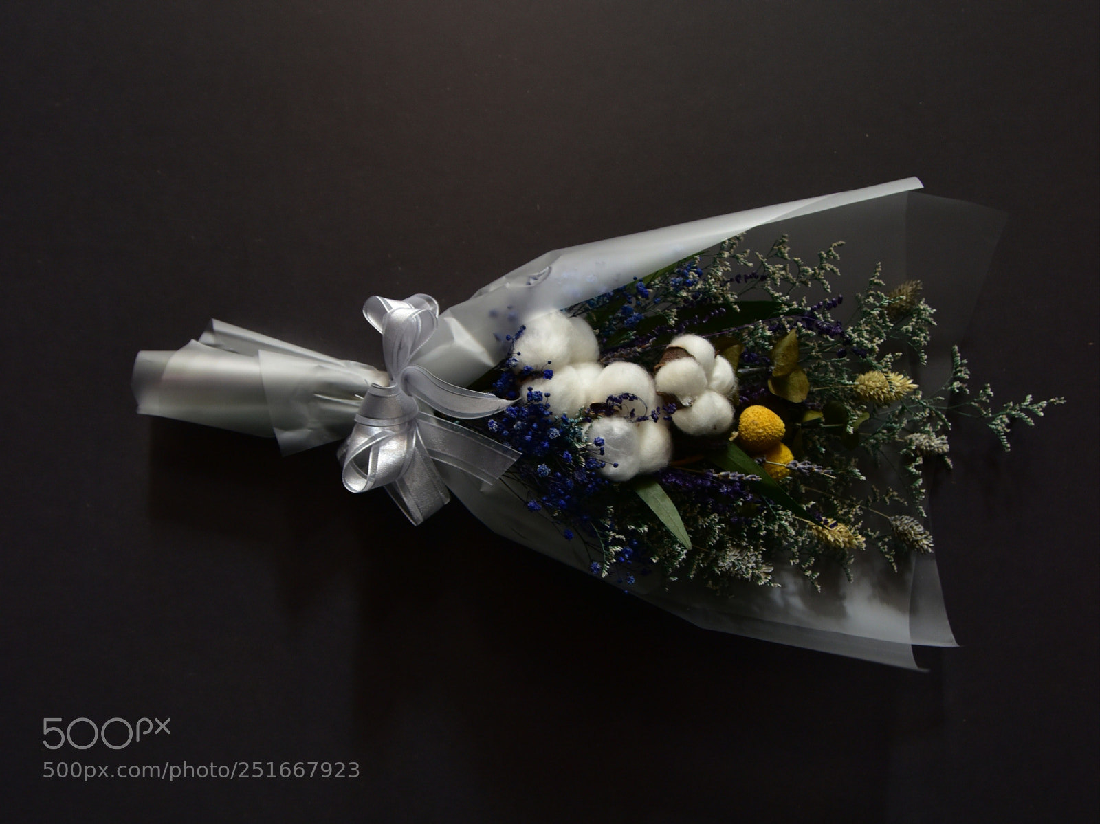 Nikon D810 sample photo. Untitled photography