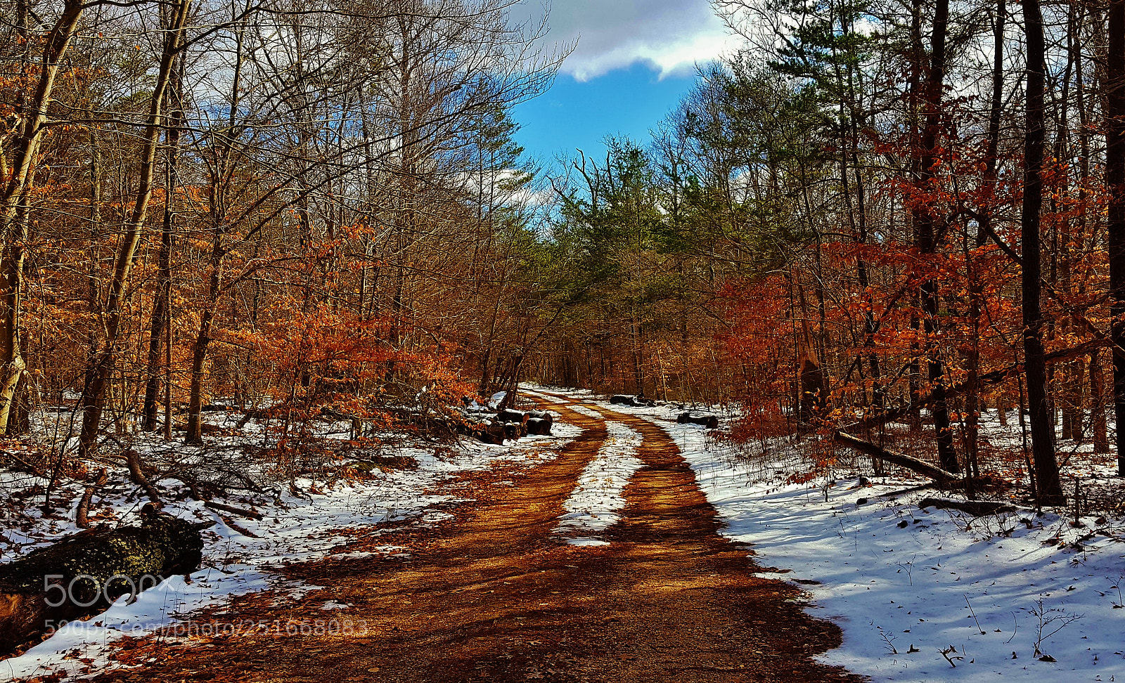 Samsung Galaxy S6 sample photo. South road winter scene 2018 photography