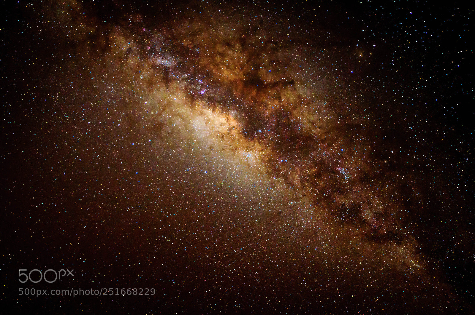 Nikon D5000 sample photo. Stargazing photography