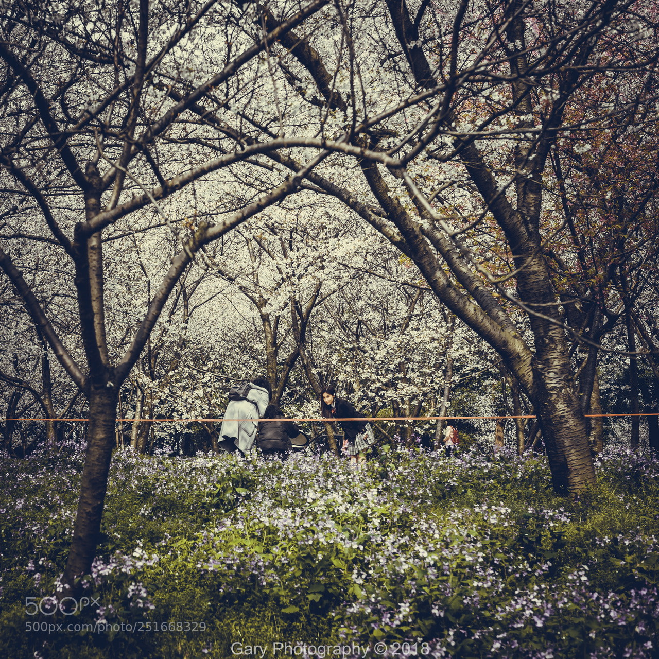 Nikon D810 sample photo. 春天的界线 photography
