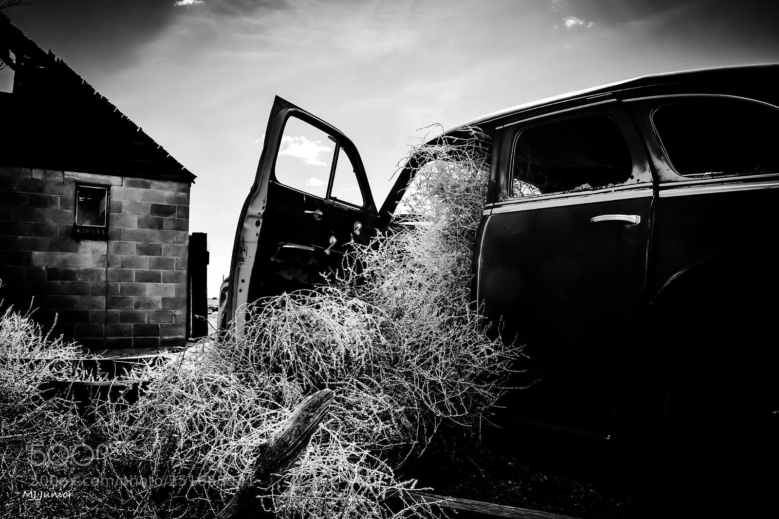 Nikon D7500 sample photo. Tumbleweed driver... photography