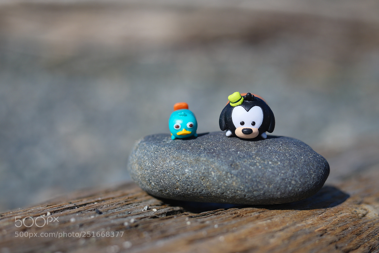 Canon EOS 6D Mark II sample photo. * photography