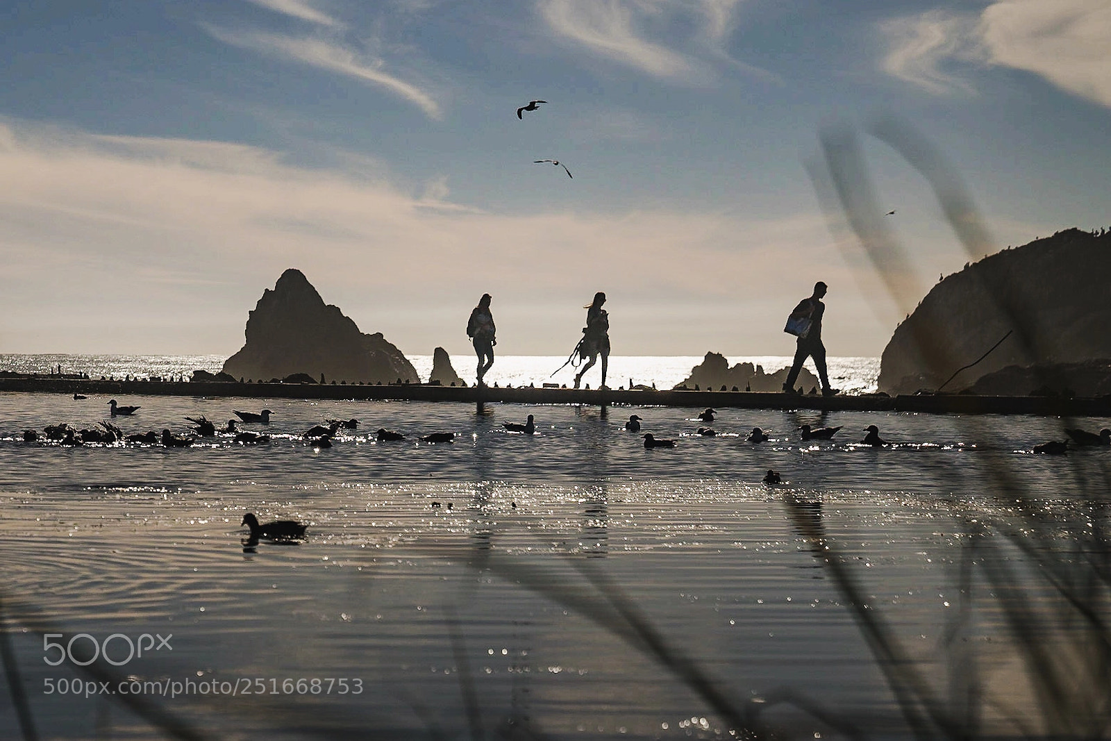 Sony a7R II sample photo. Sutro baths photography