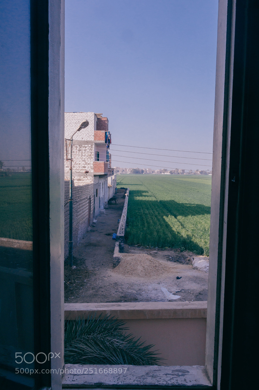Canon EOS 80D sample photo. Window to green photography