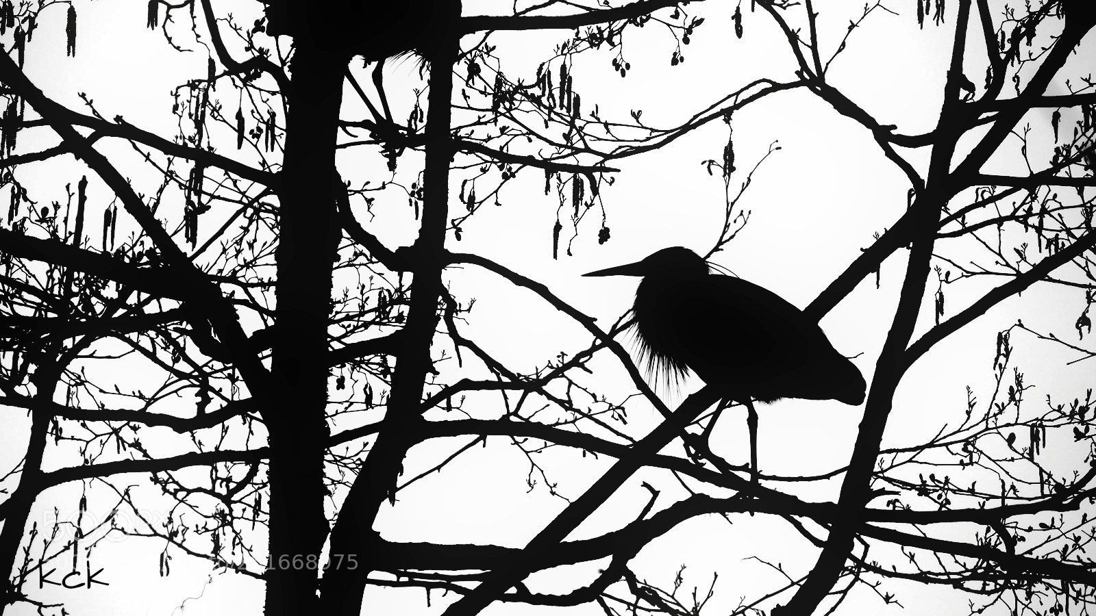 Olympus OM-D E-M10 II sample photo. Black and white as photography