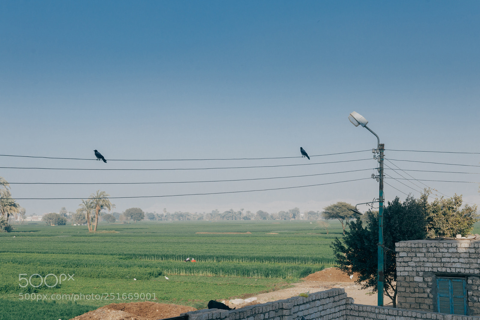 Canon EOS 80D sample photo. Local nature photography
