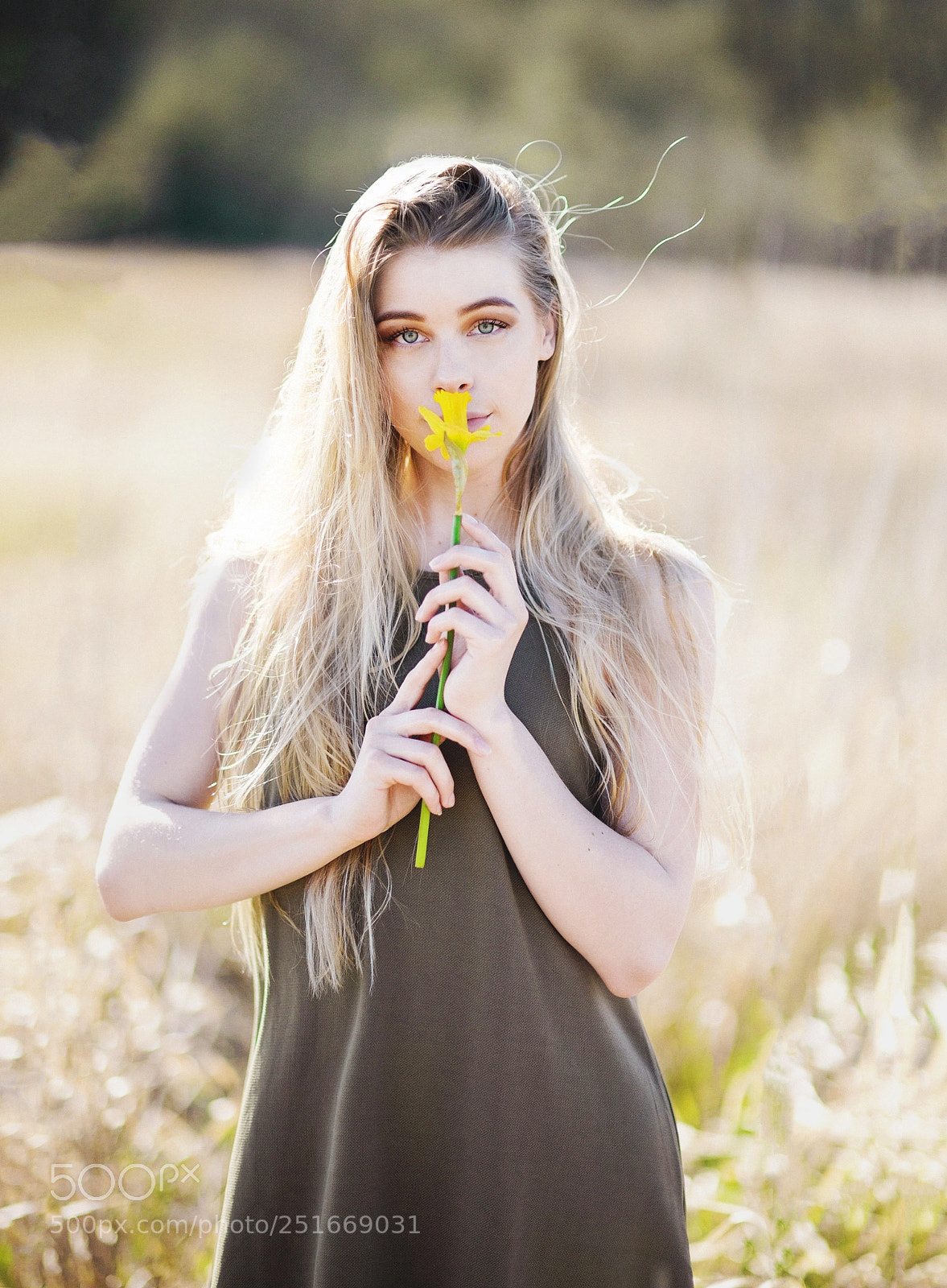 Nikon D810 sample photo. Spring is here! photography