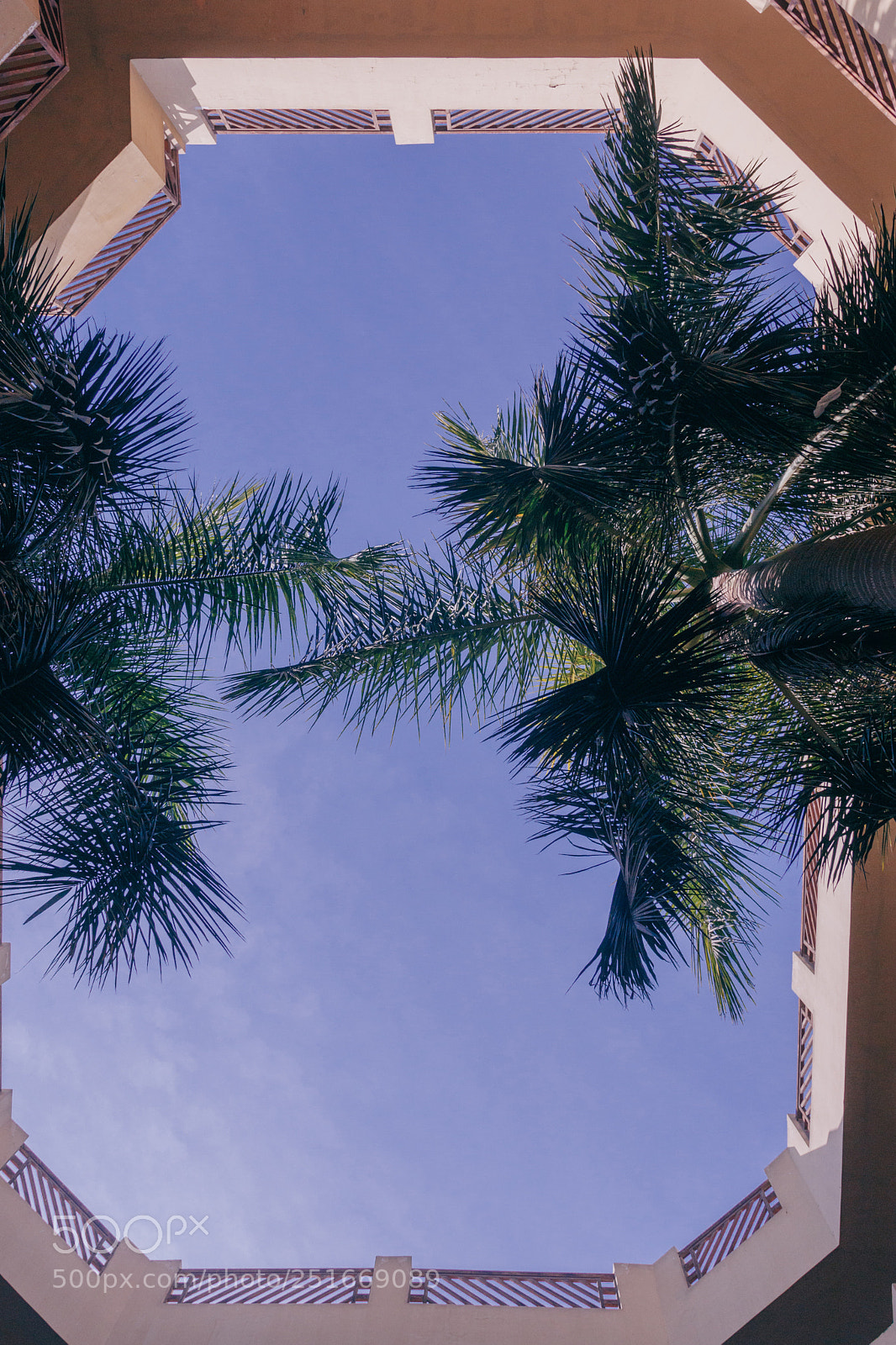 Canon EOS 80D sample photo. Nature in city photography
