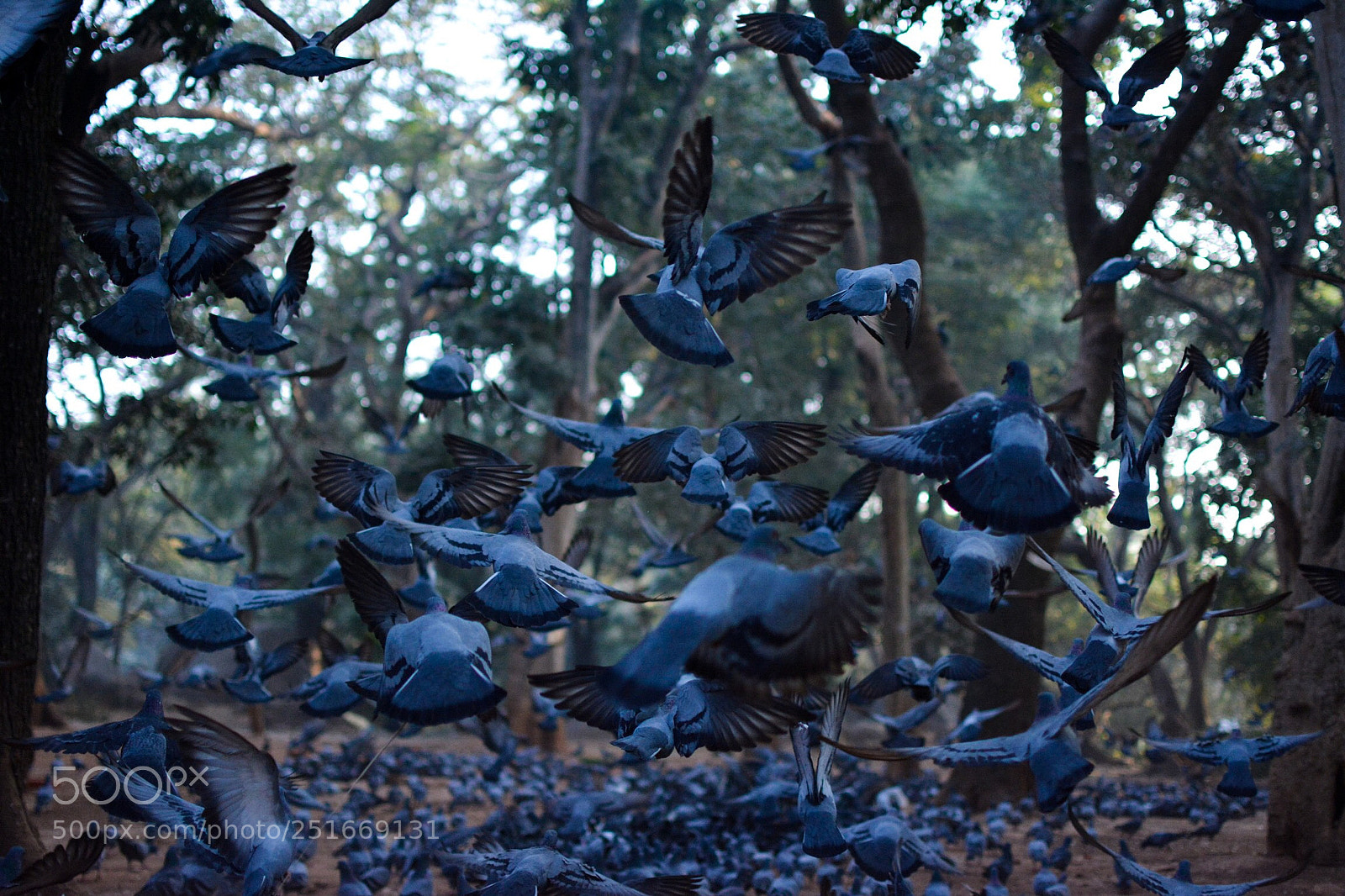 Nikon D7100 sample photo. Fly in the highest  photography