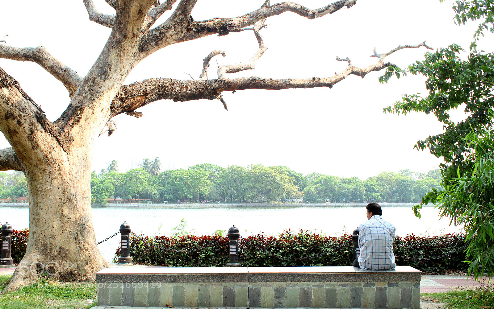 Canon EOS 1300D (EOS Rebel T6 / EOS Kiss X80) sample photo. Sneaking up :) photography