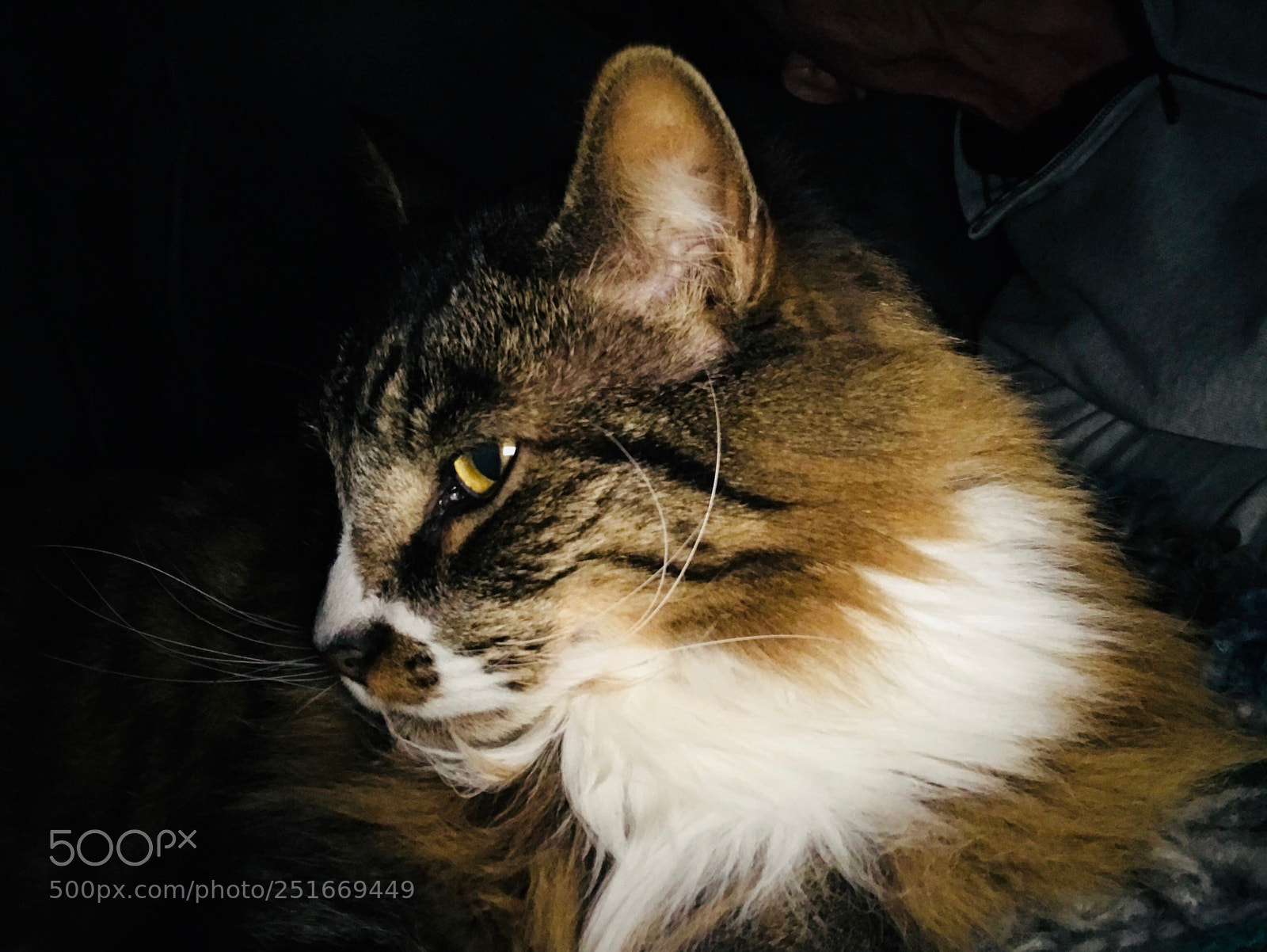 Apple iPhone 7 sample photo. Rufino photography