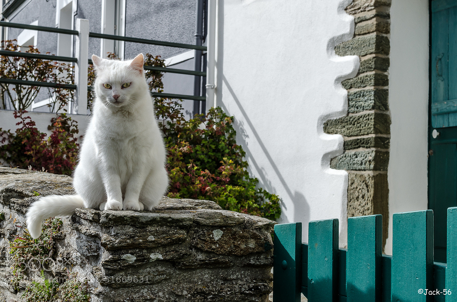 Nikon D7000 sample photo. Qui voit groix voit photography