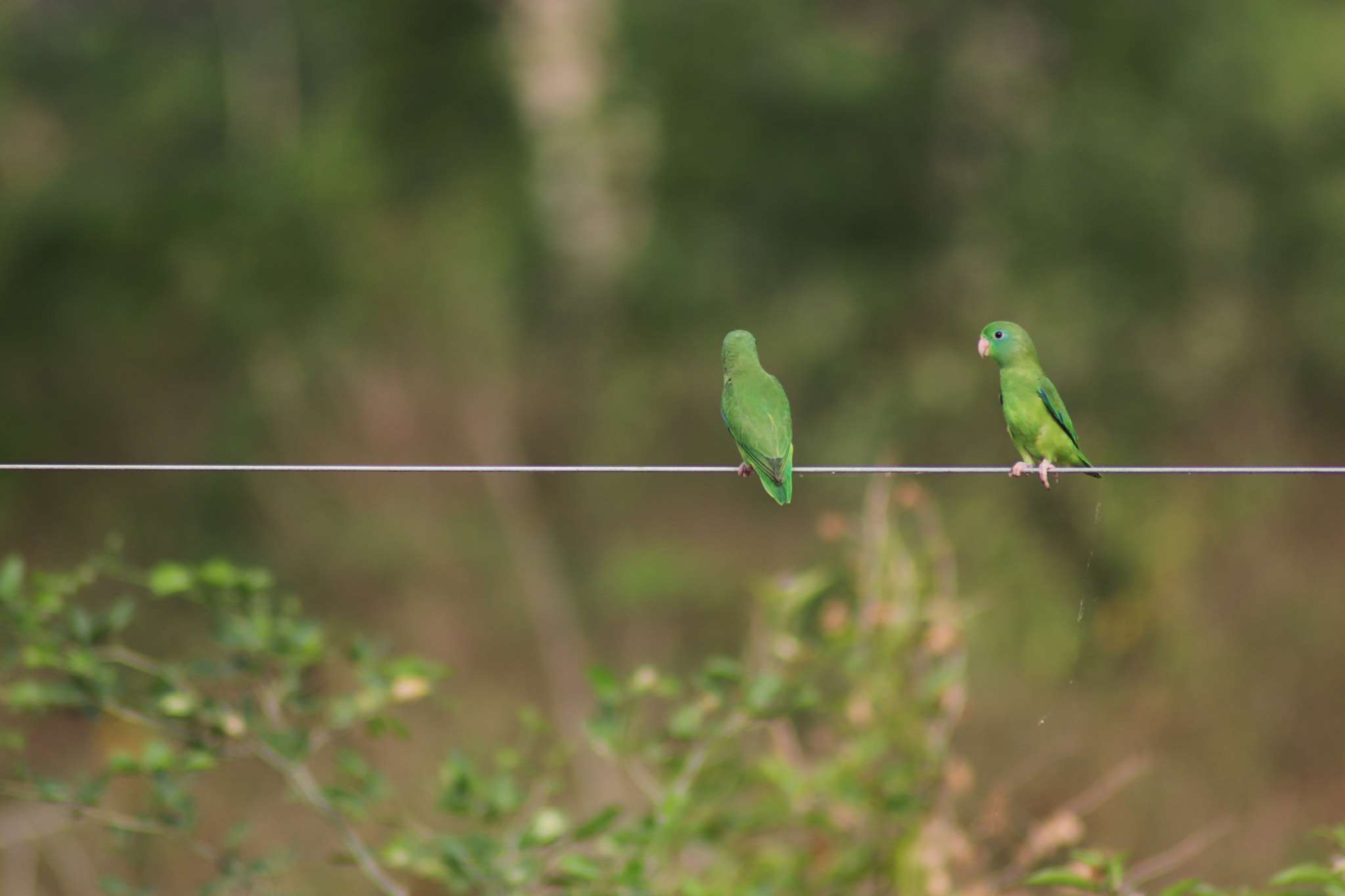 Canon EOS 77D (EOS 9000D / EOS 770D) sample photo. Interesting conversation photography
