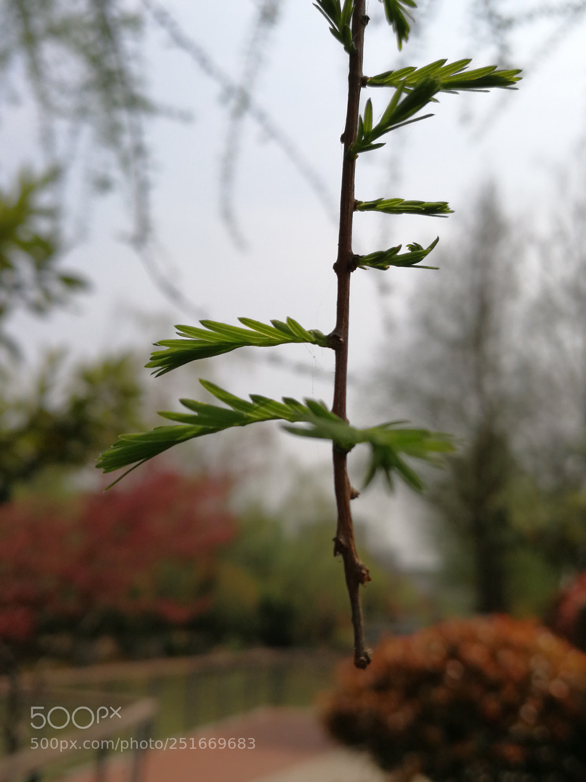 HUAWEI Mate 9 sample photo. Untitled photography