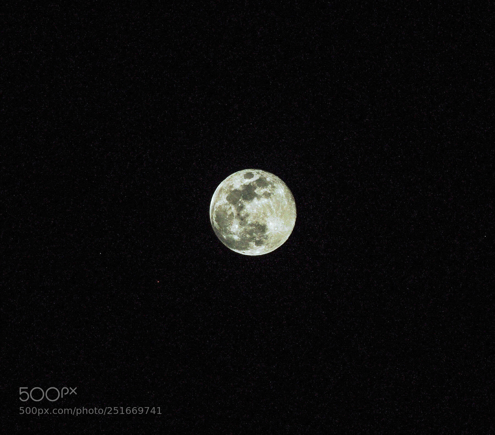 Nikon D90 sample photo. Untitled photography