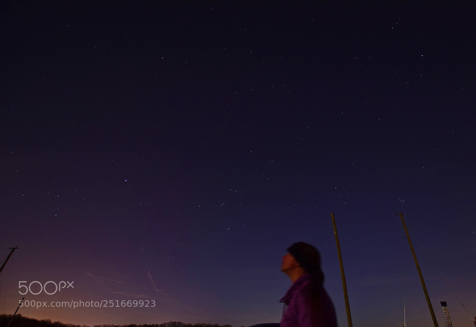 Nikon D5300 sample photo. Star gazer photography