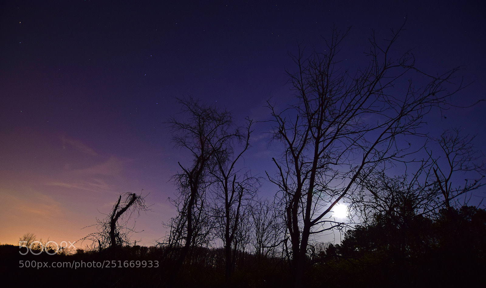 Nikon D5300 sample photo. Moonshine photography