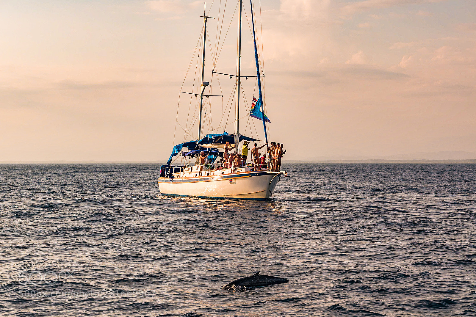 Leica SL (Typ 601) sample photo. Dolphin photography