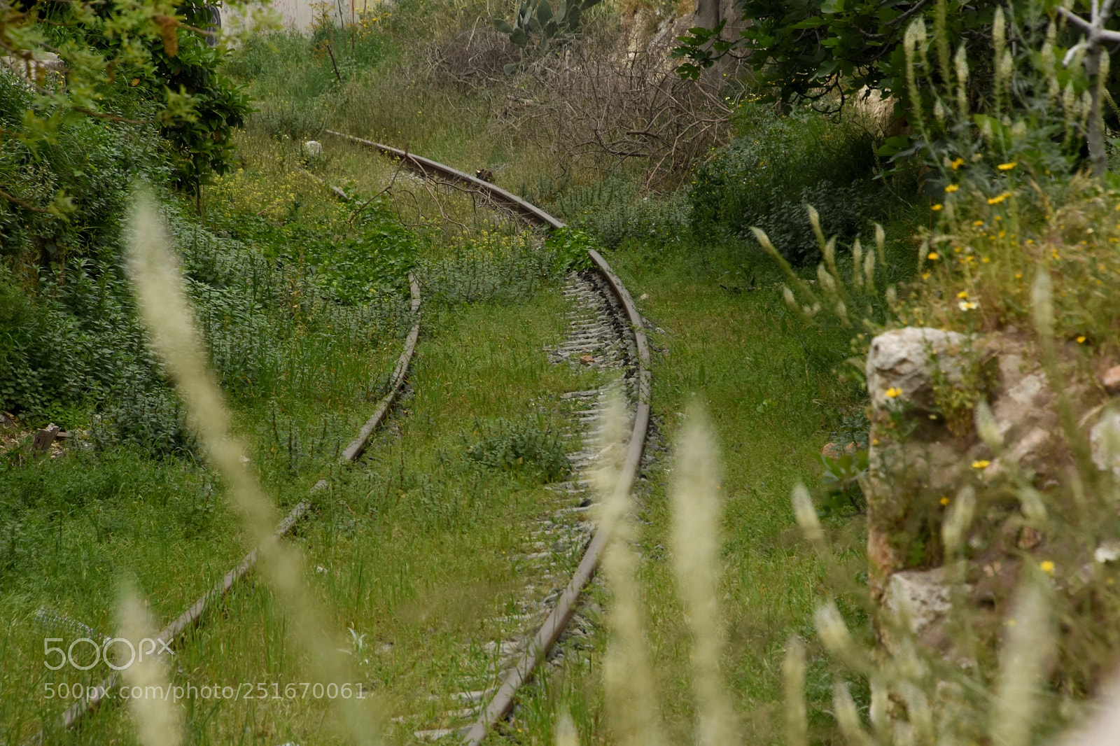 Nikon D7200 sample photo. Route to the past photography