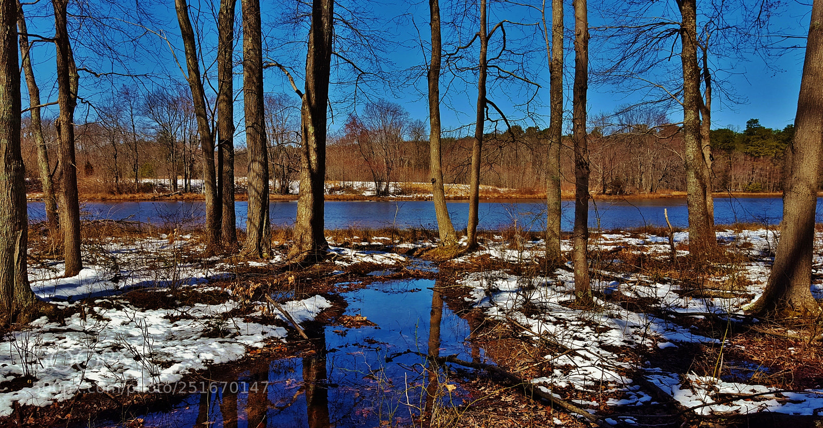 Samsung Galaxy S6 sample photo. Cash lake winter scenery 2018 photography