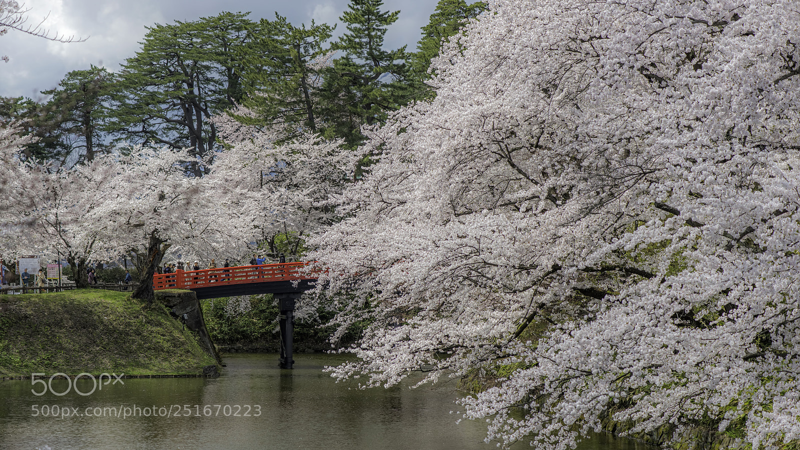 Nikon D800 sample photo. Hirosaki park photography