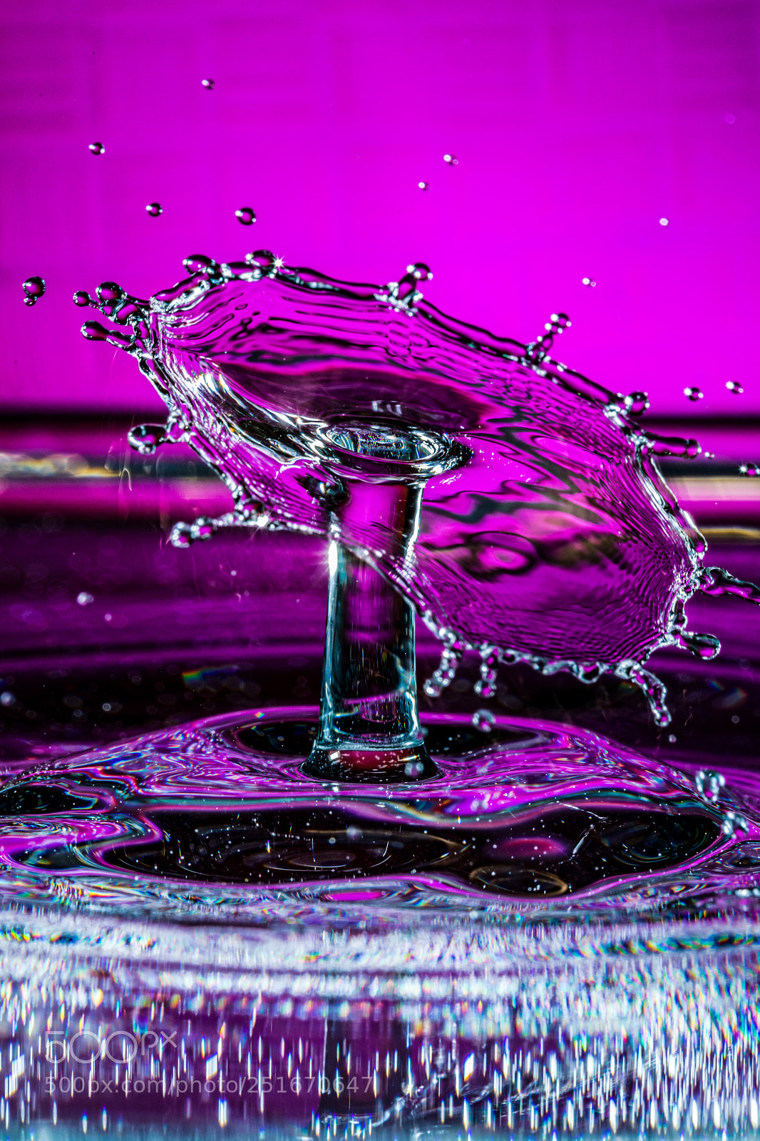 Canon EOS 6D Mark II sample photo. Purple passion photography