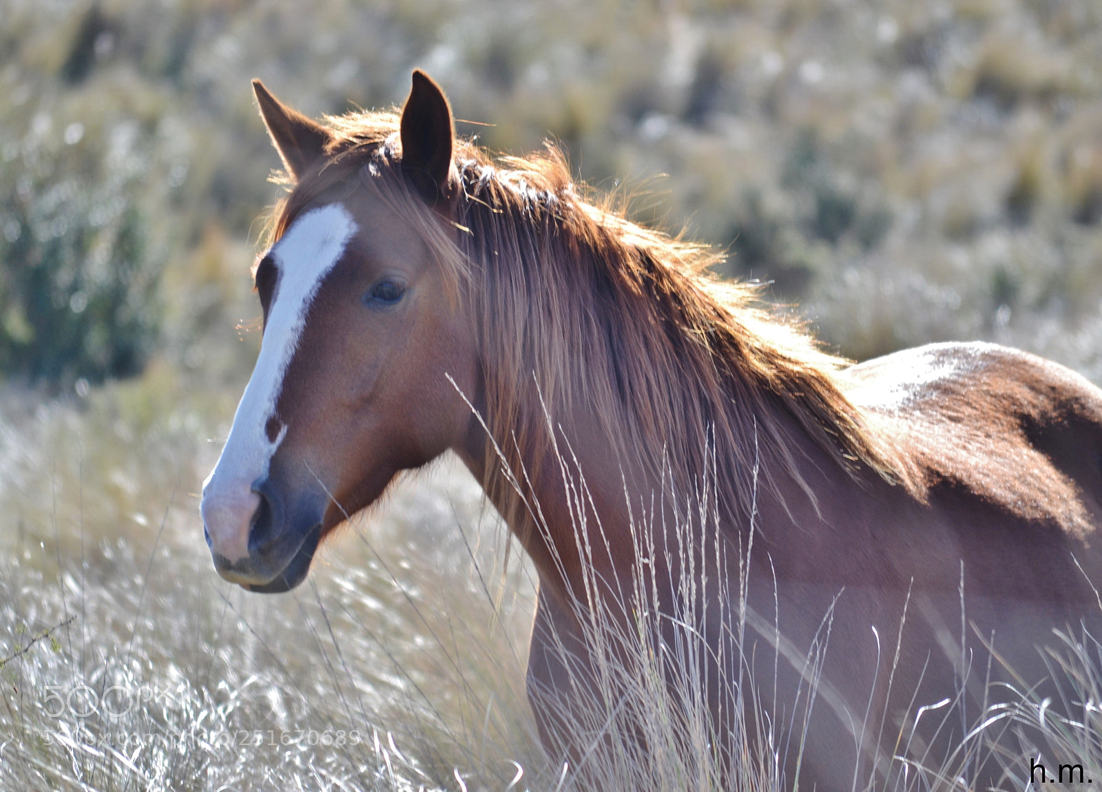 Nikon D3100 sample photo. Fdbb o photography