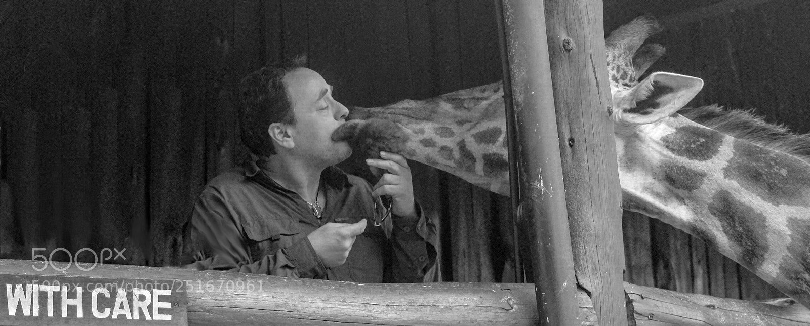 Canon EOS 60D sample photo. Steven & giraffe kissing edit photography