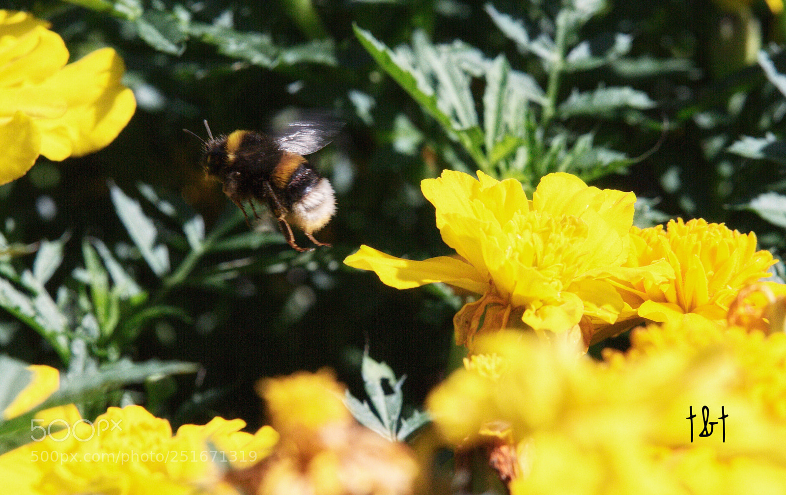 Canon EOS 7D sample photo. Untitled photography