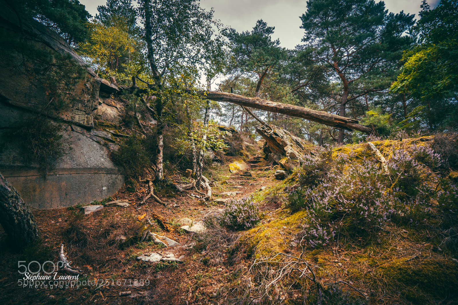 Sony a7 sample photo. Rocky ascending photography