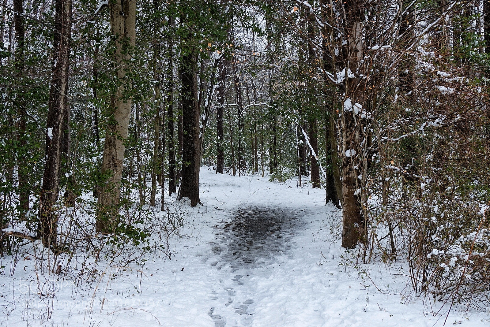 Sony Alpha a5000 (ILCE 5000) sample photo. Virginia snow photography
