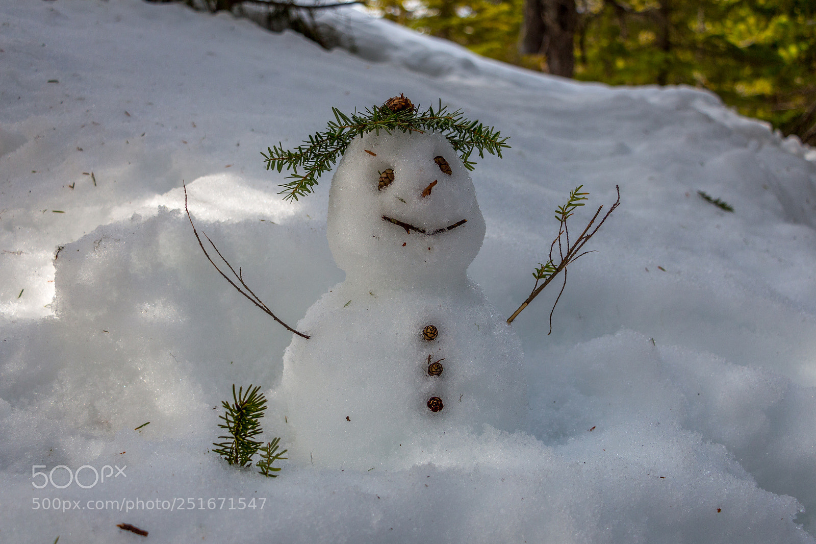 Canon EOS 700D (EOS Rebel T5i / EOS Kiss X7i) sample photo. Snowman photography