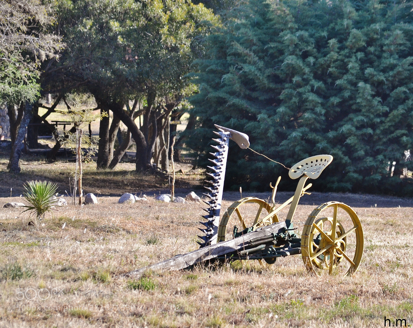 Nikon D3100 sample photo. Bfco photography