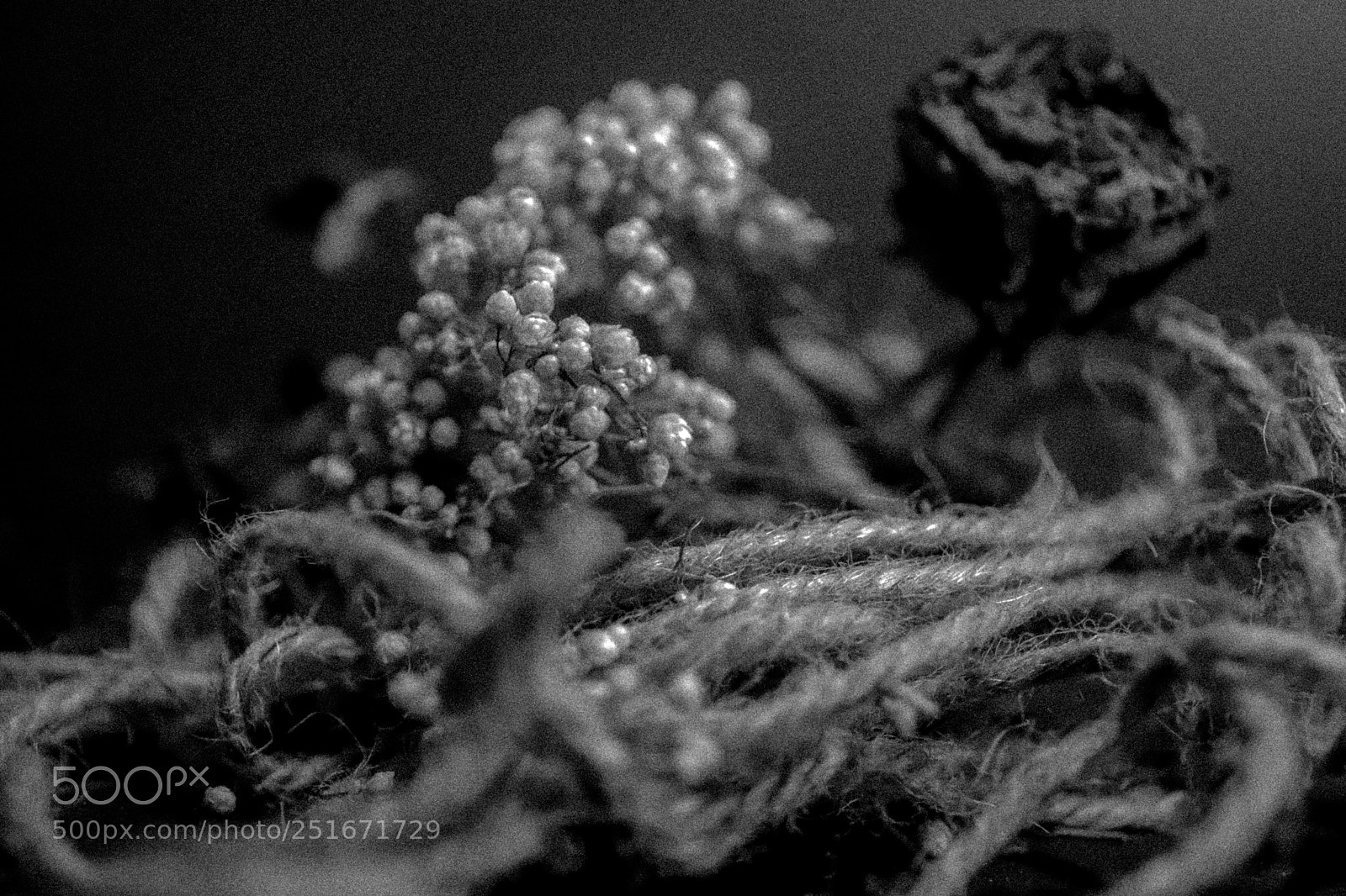 Canon EOS 6D Mark II sample photo. Untitled photography