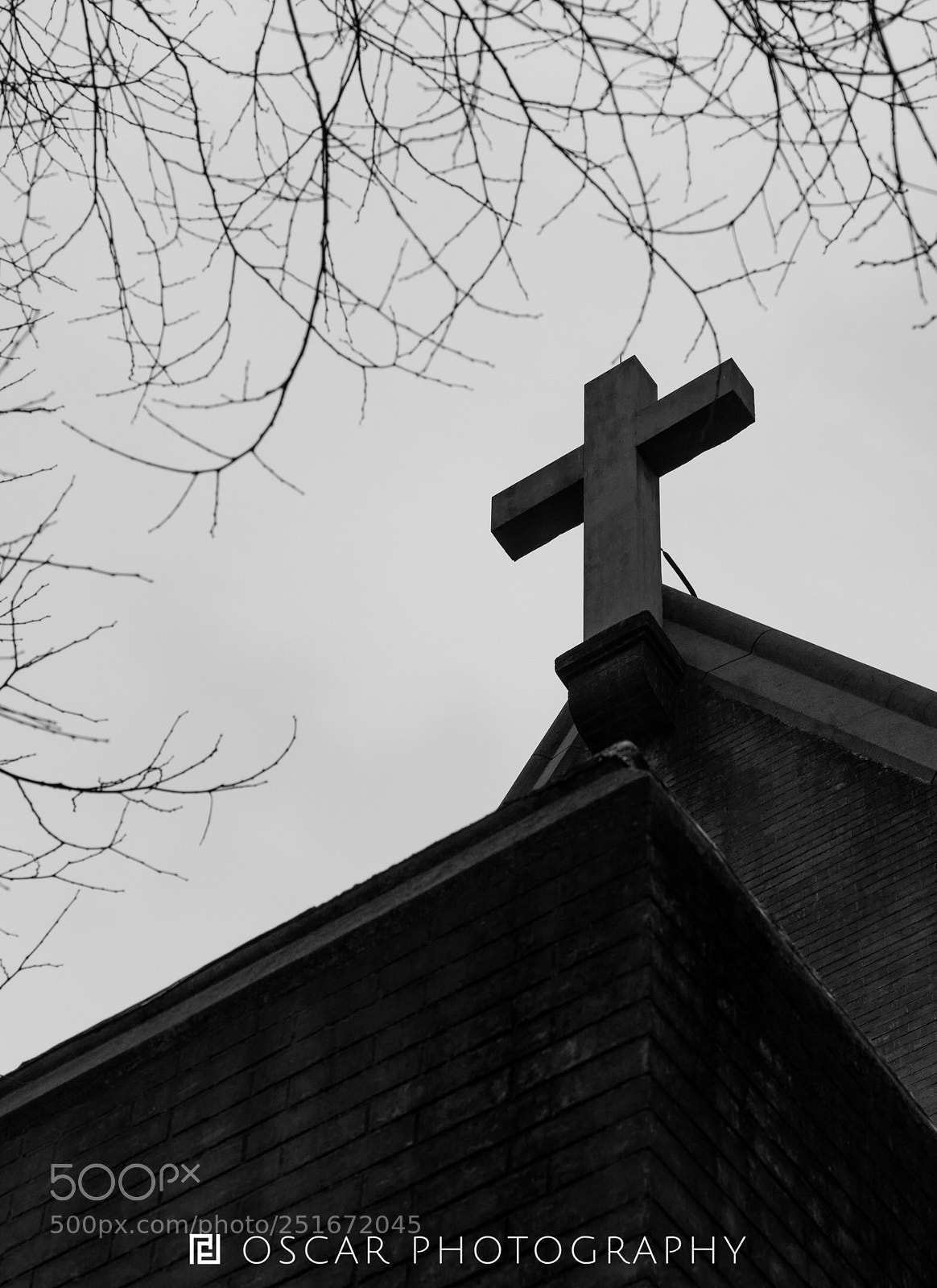Nikon D810 sample photo. Untitled photography