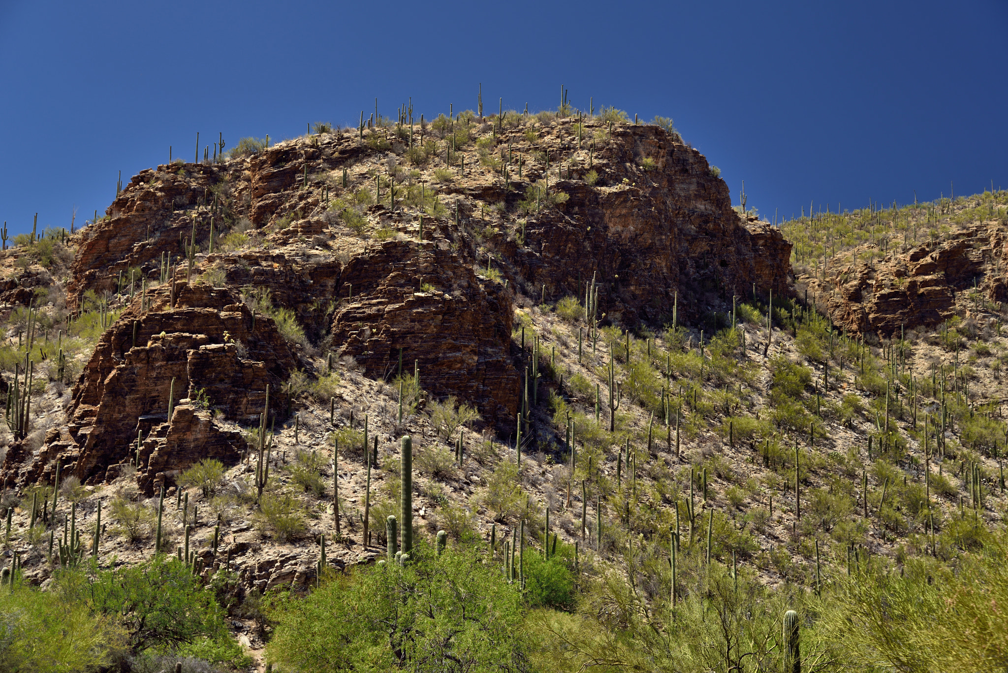 Nikon D800E + Nikon AF-S Nikkor 24-120mm F4G ED VR sample photo. Uneven and rough hillsides while in sabino canyon photography