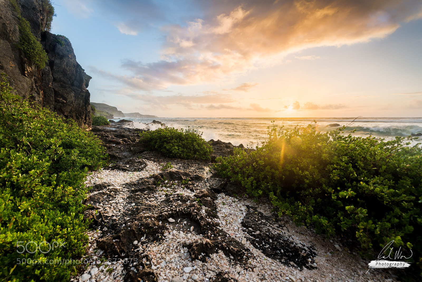 Nikon D810 sample photo. Southeast sunrise photography