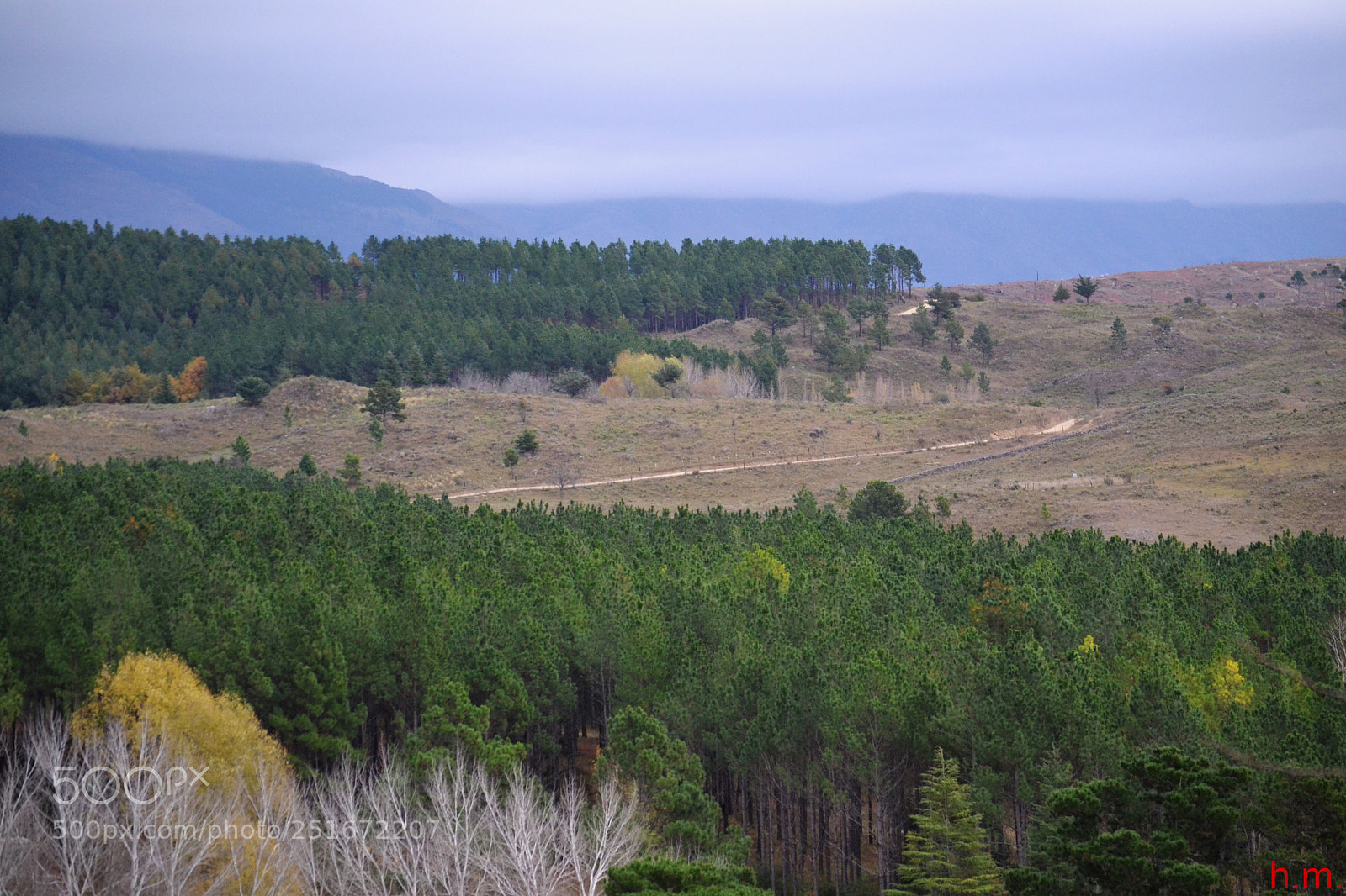 Nikon D3100 sample photo. Bcfefo photography