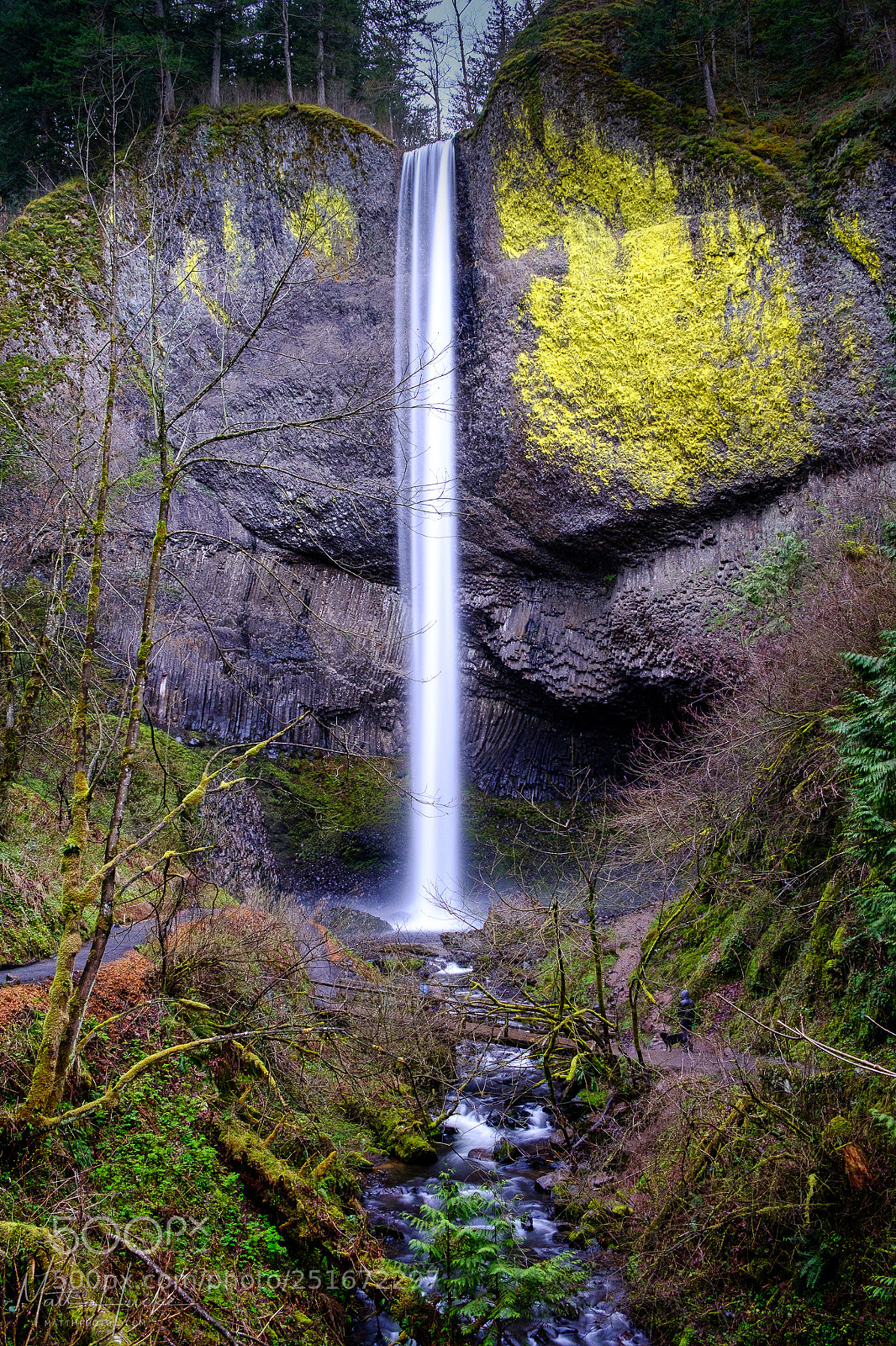 Fujifilm X-T20 sample photo. Latourell falls photography