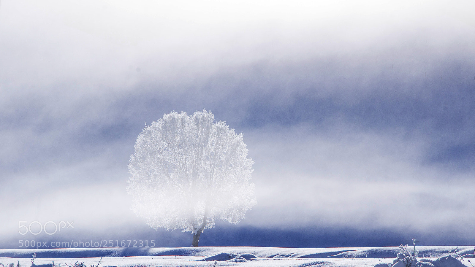 Nikon D7000 sample photo. Fog photography