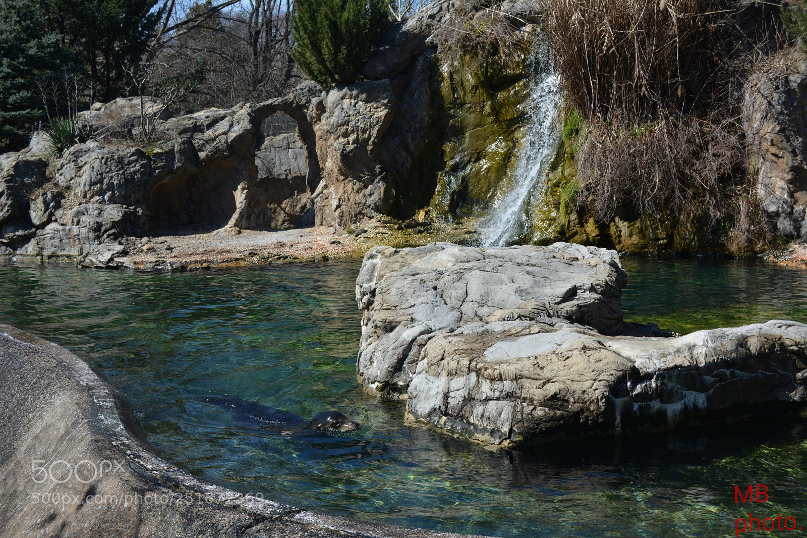 Nikon D5200 sample photo. Untitled photography