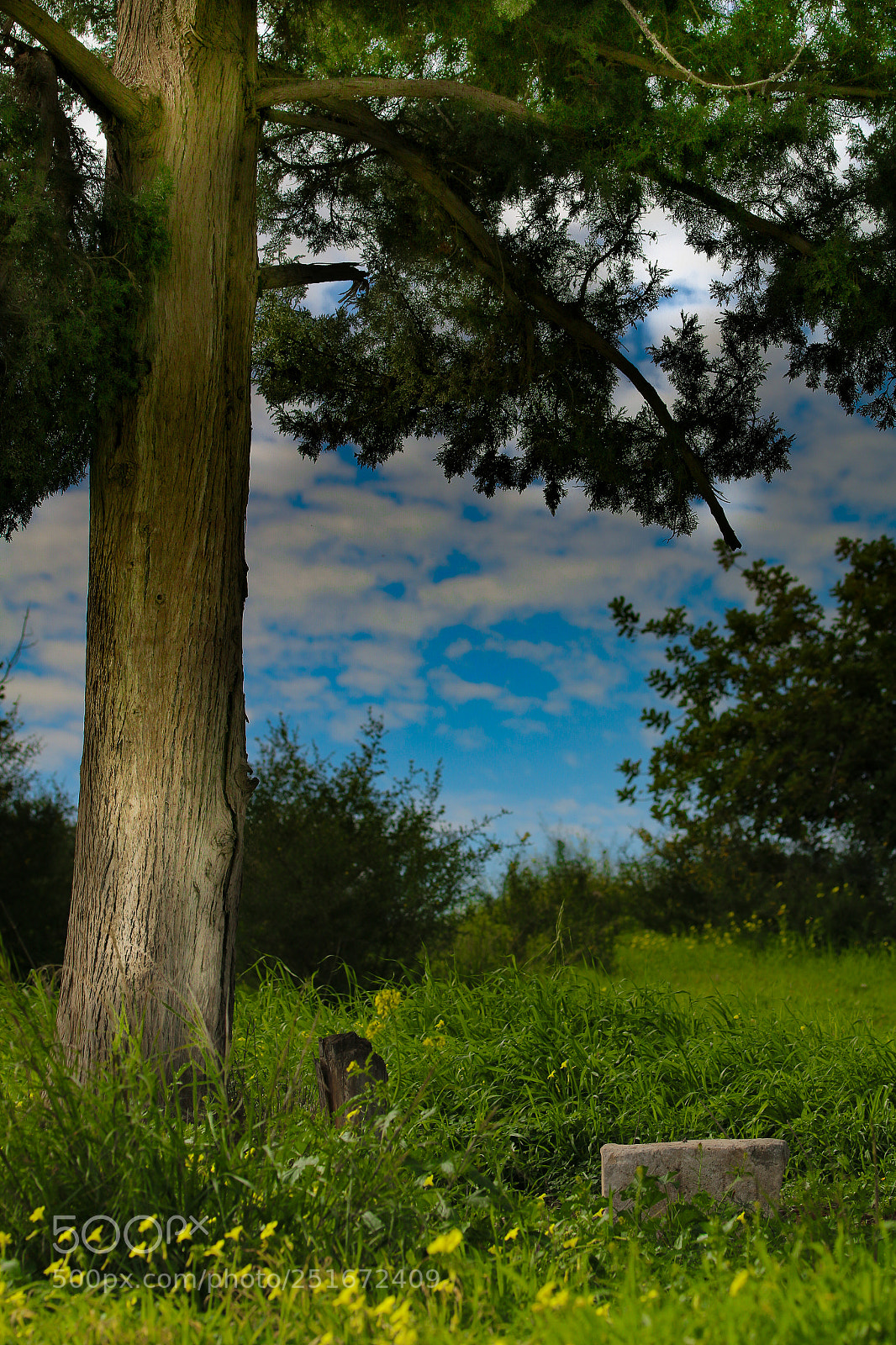 Canon EOS 70D sample photo. Img photography
