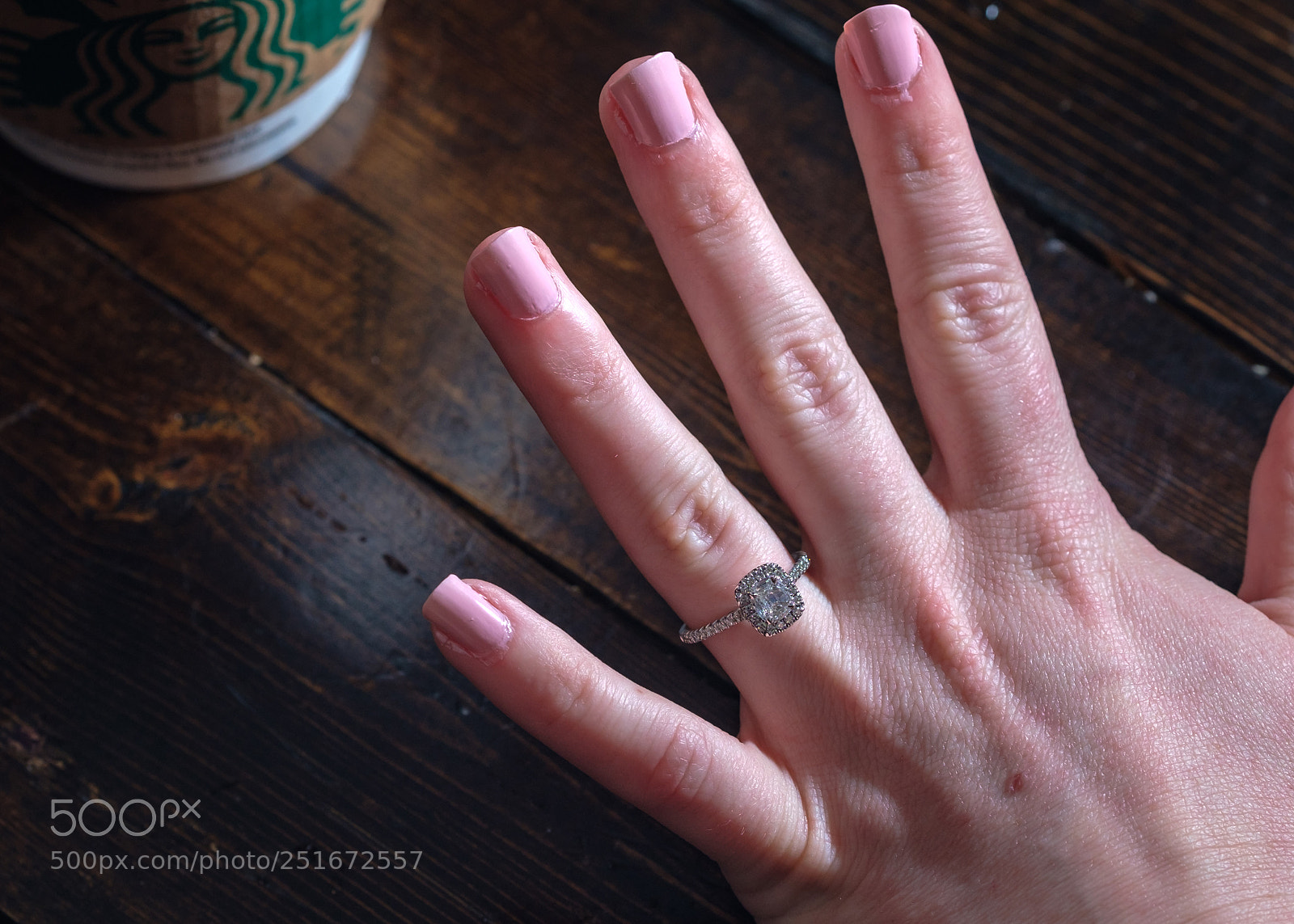 Fujifilm X-T2 sample photo. It all started with photography