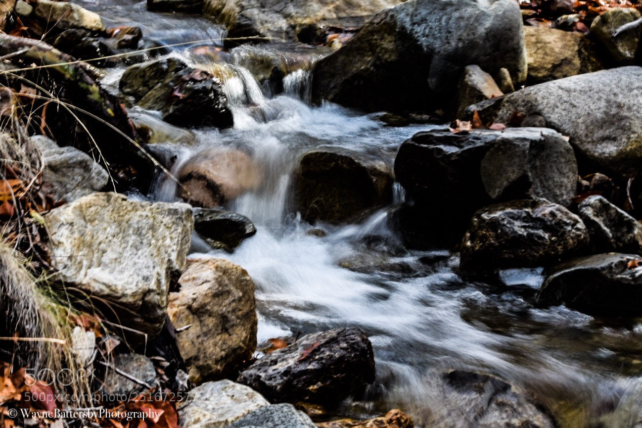 Nikon D3300 sample photo. Untitled photography