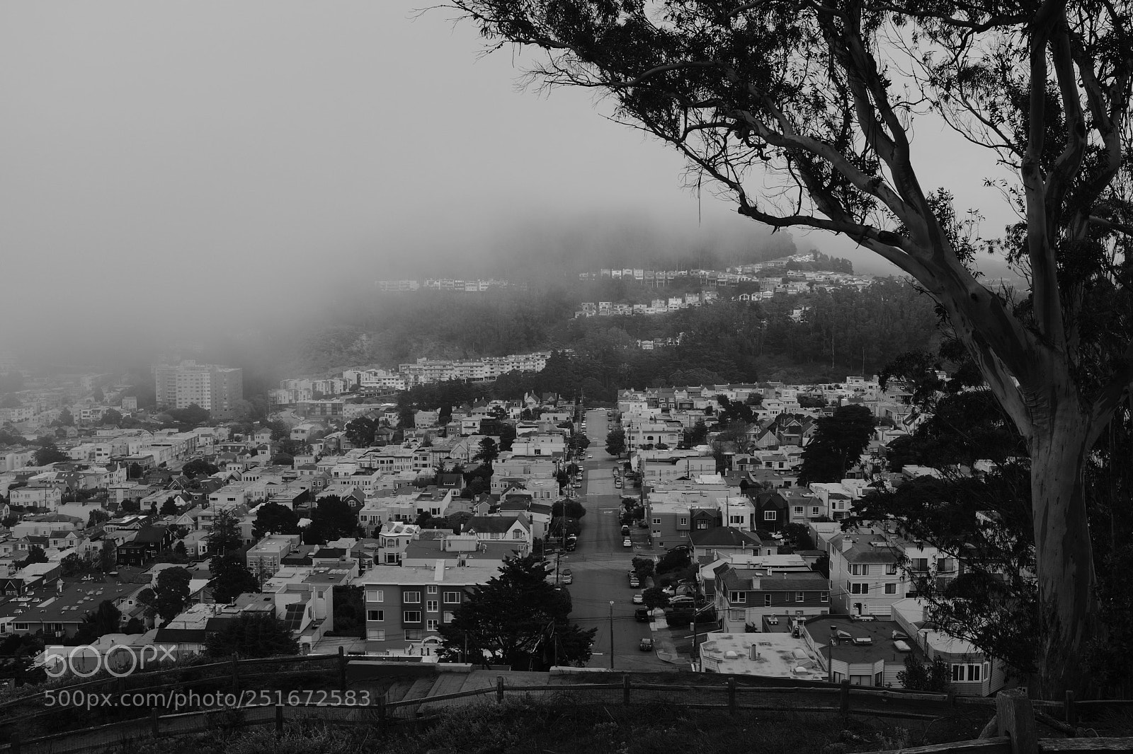 Fujifilm X100F sample photo. The fog reclaims photography