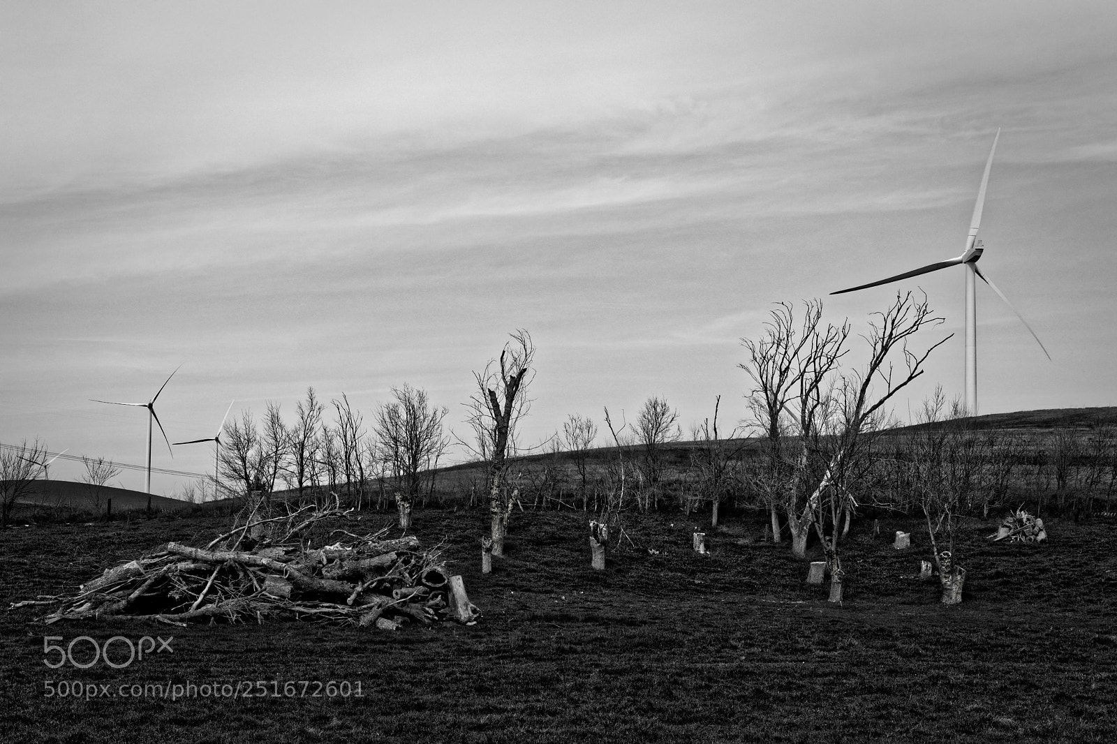Canon EOS 5D Mark IV sample photo. Untitled 132 photography