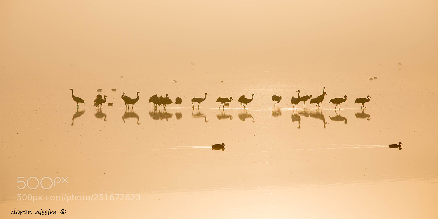 Canon EOS 5D Mark IV sample photo. Sunrise photography