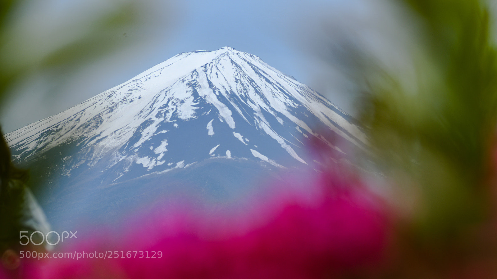 Nikon D500 sample photo. Mt fuji photography