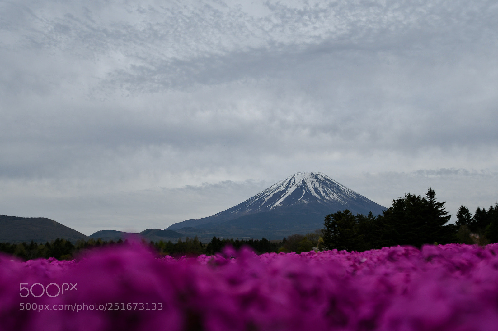 Nikon D500 sample photo. Mt fuji photography