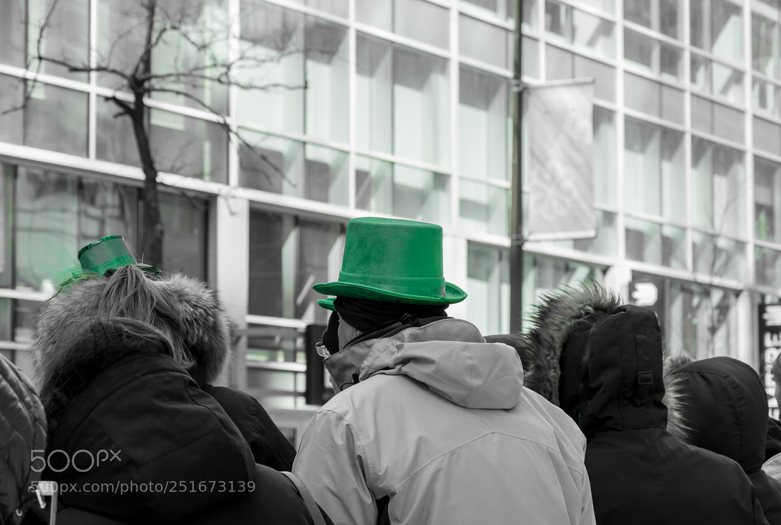 Nikon D7500 sample photo. Saint patrick parade photography